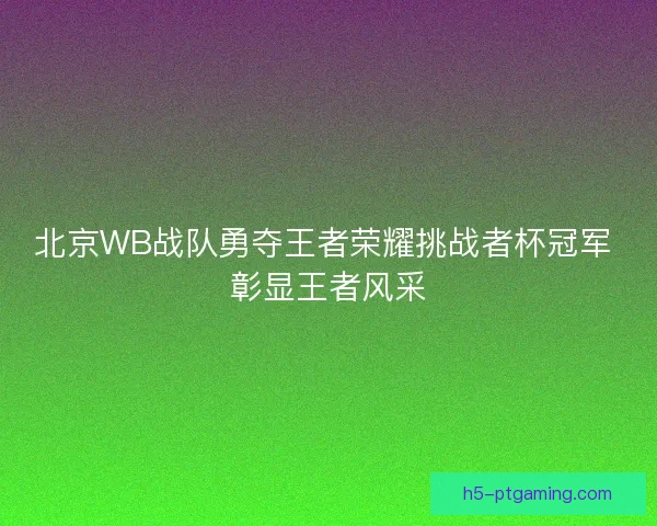 北京WB战队勇夺王者荣耀挑战者杯冠军 彰显王者风采